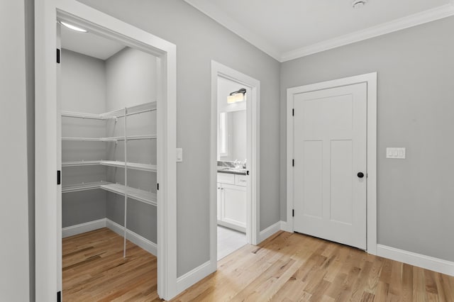 interior space featuring crown molding, sink, and light hardwood / wood-style flooring