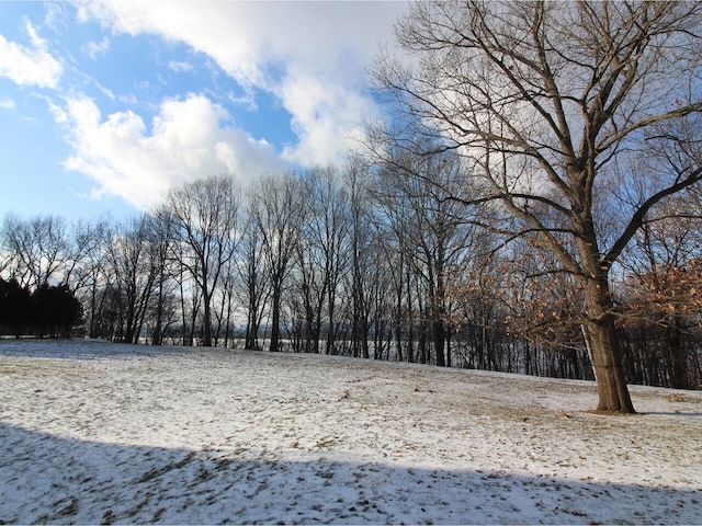 view of snowy yard