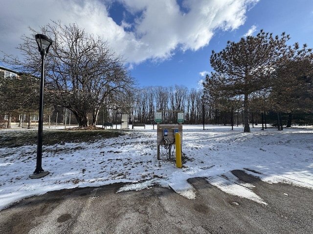 view of yard layered in snow