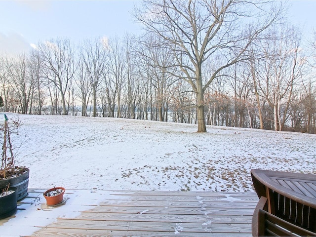 view of yard covered in snow