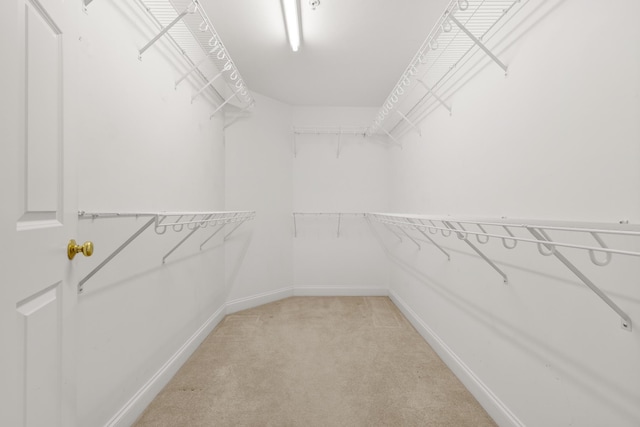 walk in closet featuring light colored carpet