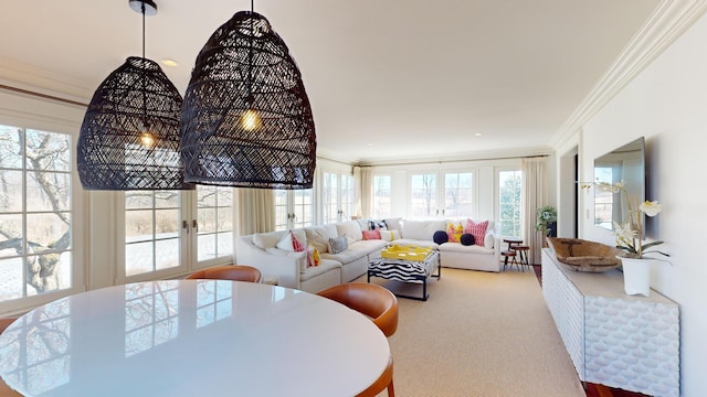 living room featuring ornamental molding and carpet