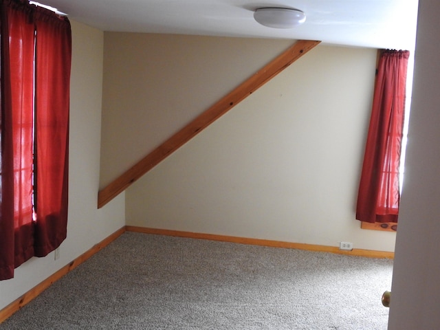 additional living space featuring carpet flooring