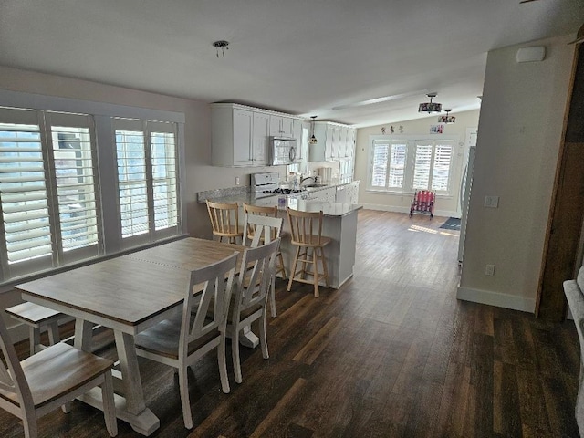 dining space featuring sink and dark hardwood / wood-style floors