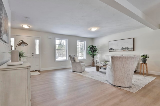 living area with light hardwood / wood-style flooring