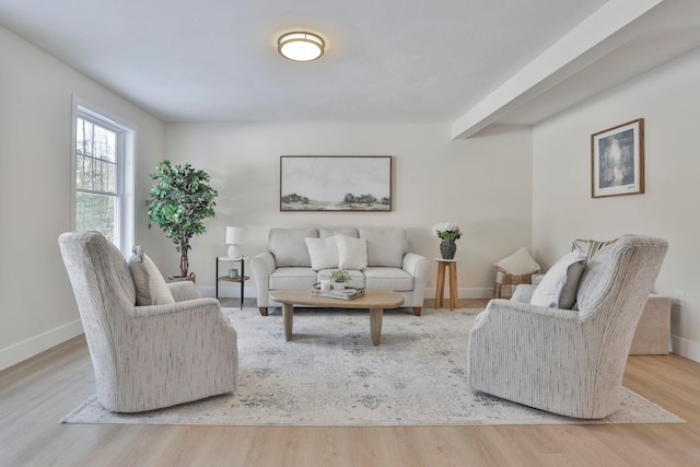 living room featuring wood-type flooring