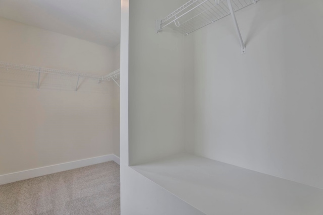 spacious closet with carpet floors