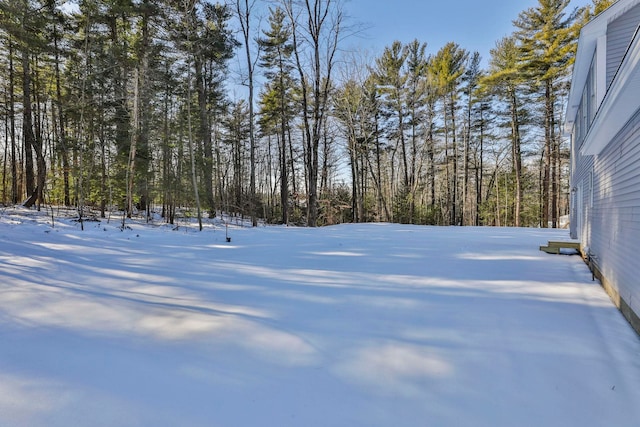 view of yard layered in snow