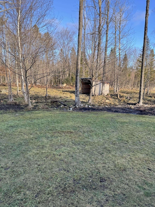 view of yard with a shed