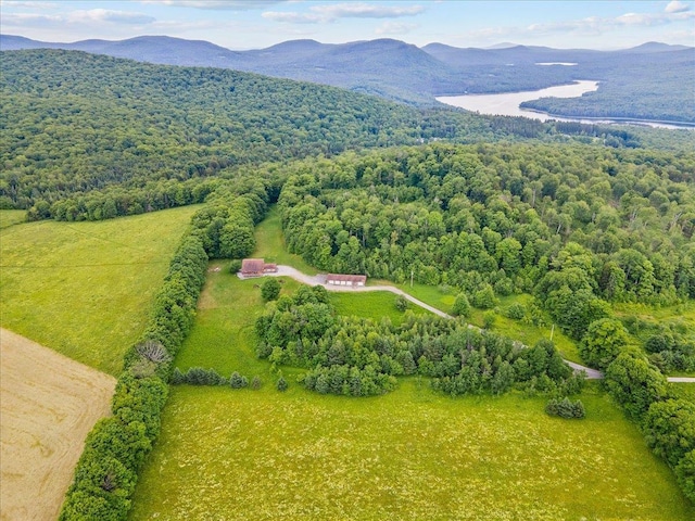 birds eye view of property featuring a mountain view