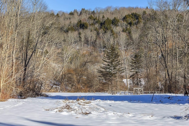 view of snowy view