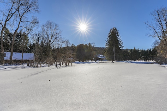 view of yard covered in snow