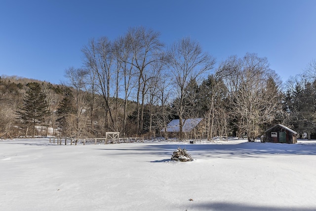 view of snowy yard