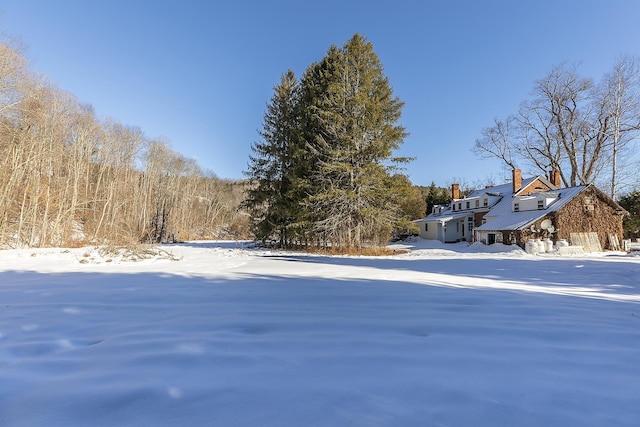 view of yard covered in snow