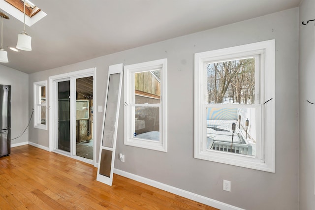 interior space featuring a skylight and wood-type flooring