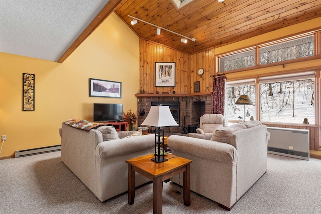 living room with wooden walls, rail lighting, carpet flooring, baseboard heating, and wooden ceiling