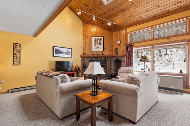 living room featuring a baseboard radiator, rail lighting, wooden ceiling, and carpet