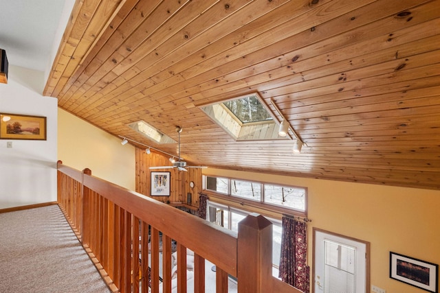 hallway with lofted ceiling with skylight, track lighting, wooden ceiling, and carpet flooring