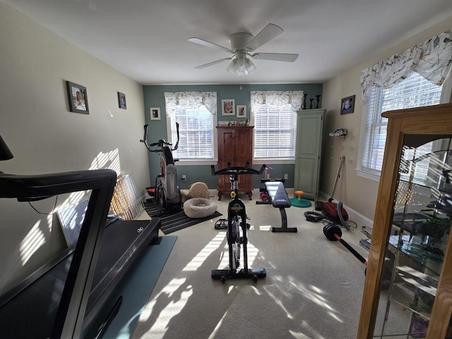 exercise area featuring carpet and ceiling fan