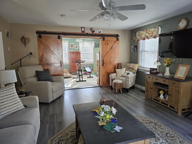 living room featuring ceiling fan, a barn door, and dark hardwood / wood-style flooring