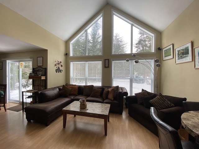 living room featuring high vaulted ceiling and light hardwood / wood-style floors