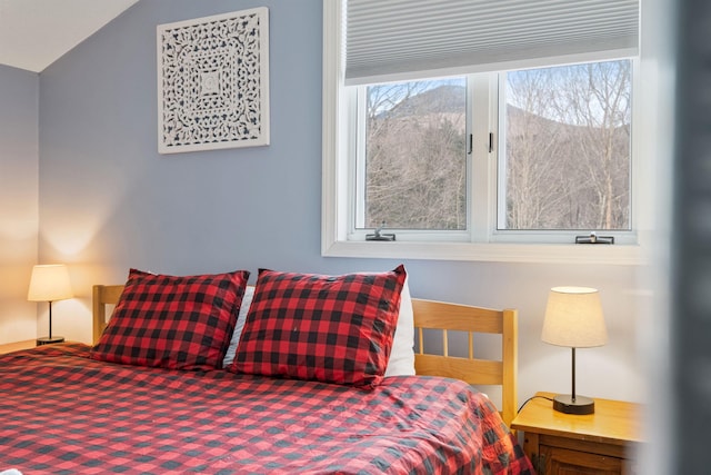 bedroom featuring vaulted ceiling