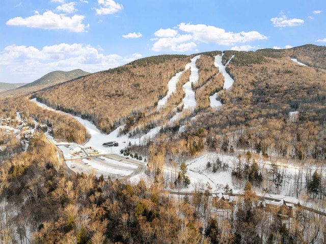 view of mountain feature