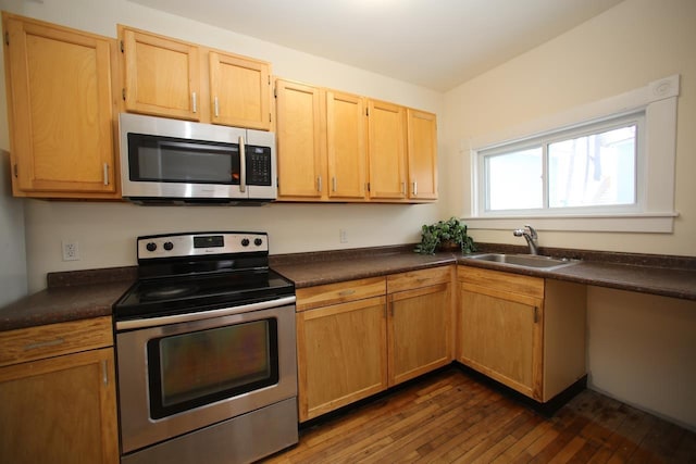 kitchen with light brown cabinetry, sink, dark wood-type flooring, and stainless steel appliances