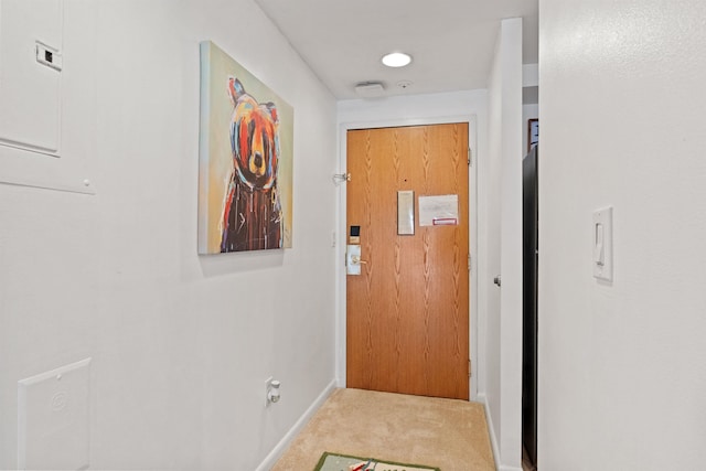 entryway featuring carpet