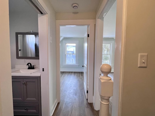 bathroom featuring hardwood / wood-style flooring and vanity