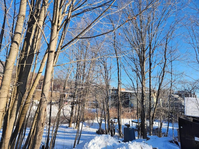 view of snowy yard