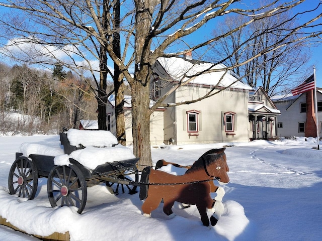 view of snowy yard