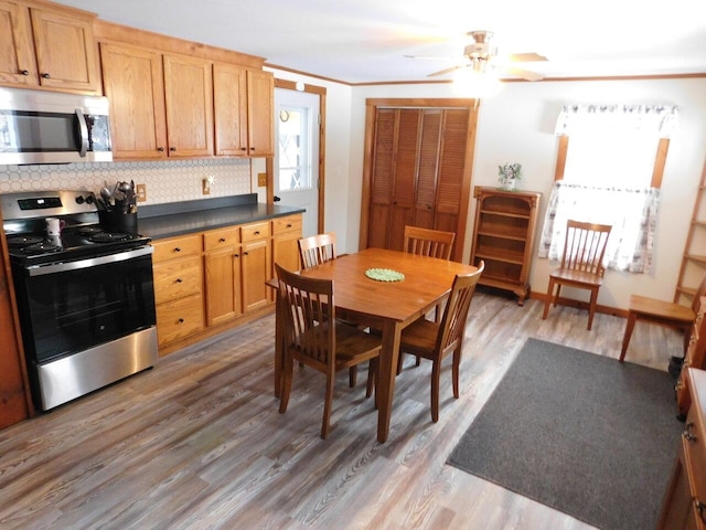 kitchen with decorative backsplash, a wealth of natural light, hardwood / wood-style flooring, and appliances with stainless steel finishes