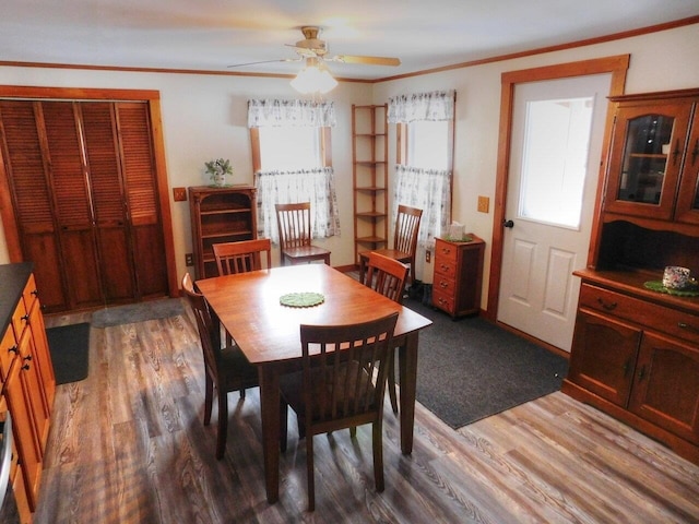 dining space with wood-type flooring, ceiling fan, and crown molding