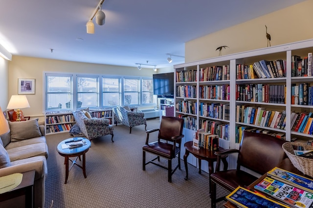 sitting room featuring track lighting and carpet flooring