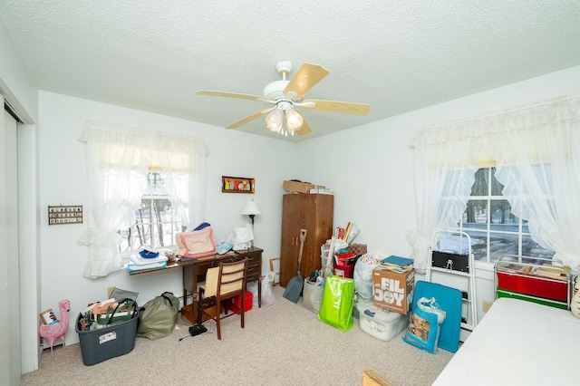 carpeted home office with ceiling fan and a textured ceiling