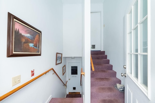 staircase with carpet