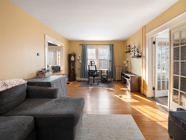 living room with radiator and light hardwood / wood-style flooring