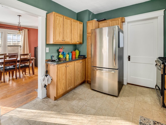 kitchen with hanging light fixtures, stainless steel appliances, and light hardwood / wood-style floors