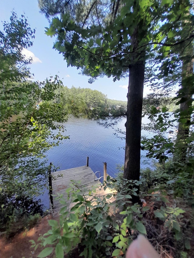 property view of water featuring a dock