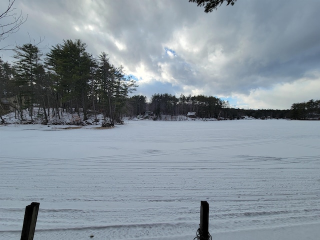 view of yard layered in snow