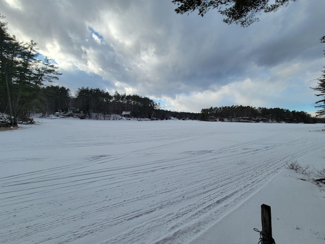 view of yard layered in snow