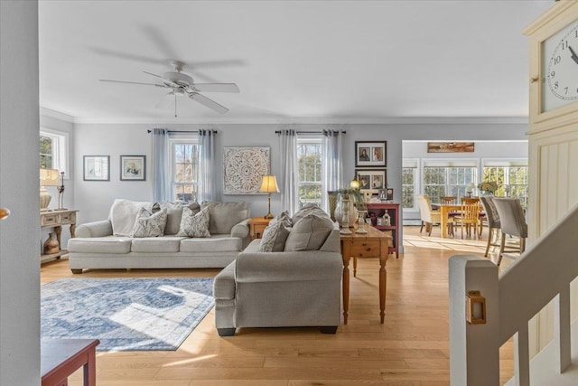 living room with crown molding, ceiling fan, and light wood-type flooring