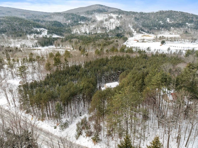 view of mountain feature