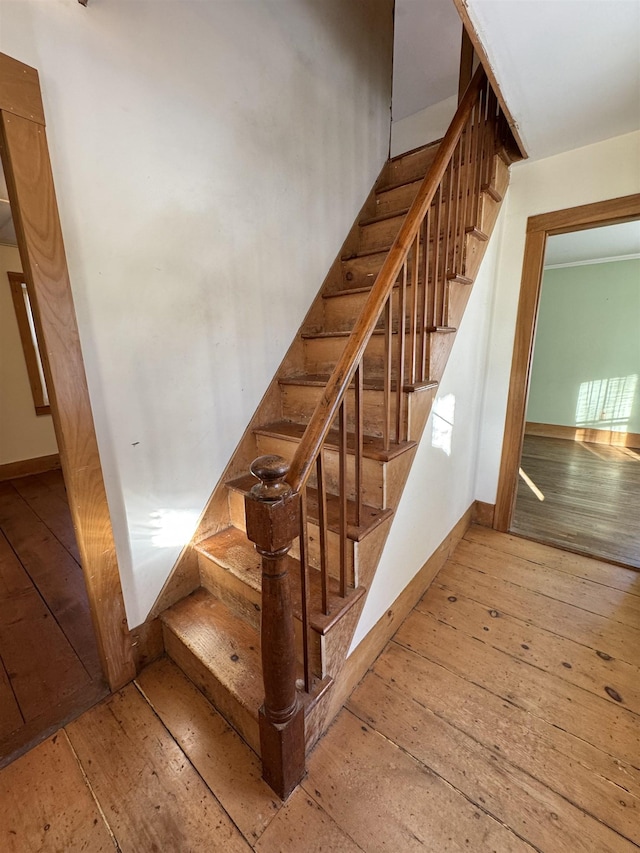 stairway with hardwood / wood-style flooring