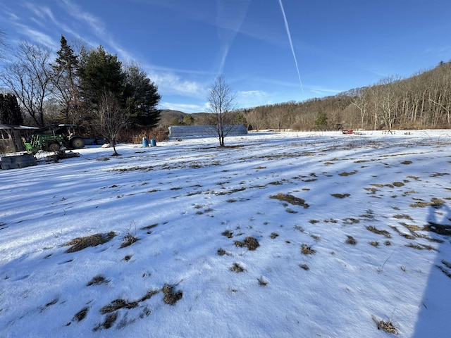 view of snowy yard