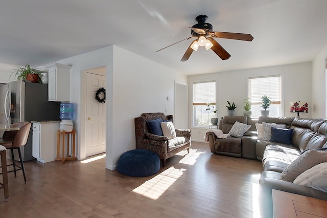 living room featuring ceiling fan and wood-type flooring