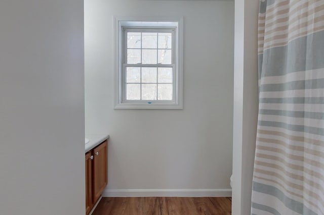 bathroom featuring vanity, hardwood / wood-style floors, and curtained shower