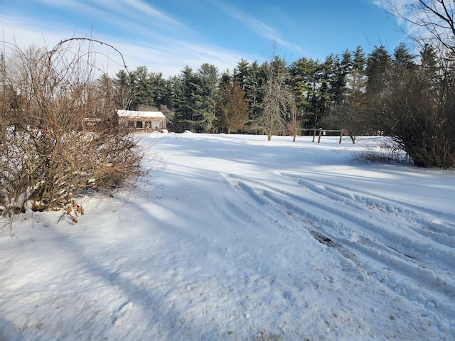 view of yard layered in snow