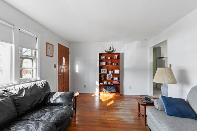 living room featuring dark wood-type flooring